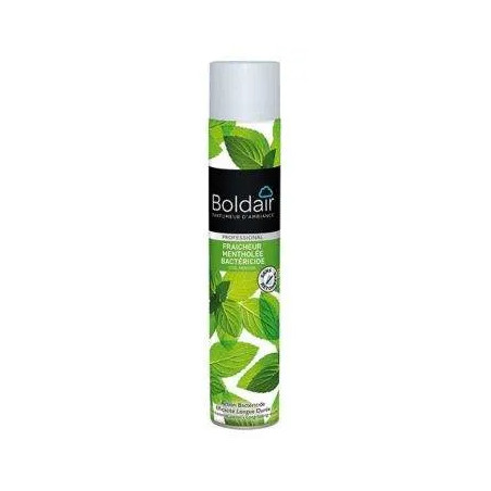 Boldair fraîcheur mentholée bactéricide 500ml