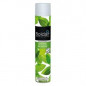 Boldair frisse munt bacteriedodend middel 500ml