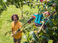 Fruitplukker combisysteem