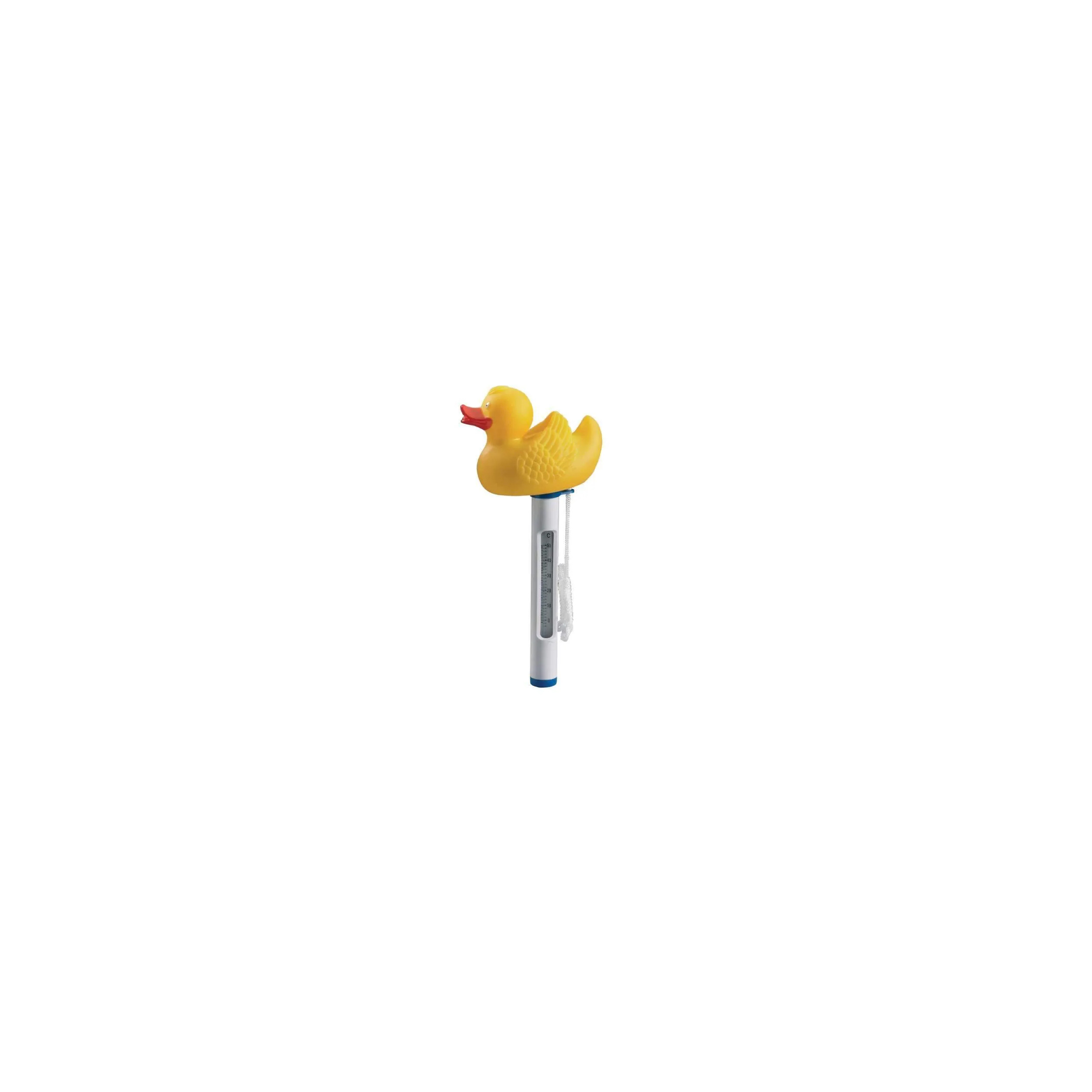 Thermomètre canard flottant pour piscine.