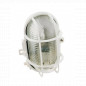 Ovale buitenlamp 470 Lumen, IP44 opbouw met raster, wit