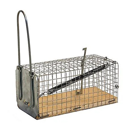 Nasse à souris en grillage galvanisé à une entrée avec socle en bois