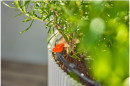 Gardena startset voor druppelirrigatie van 15 balkonplanten