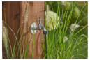 Hahnstück 3/4" (20x27) für Gartenschlauch Tropfbewässerung 4,6 mm Hahnstück 3/4" (20x27) für Gartenschlauch Tropfbewässerung 4,6 mm