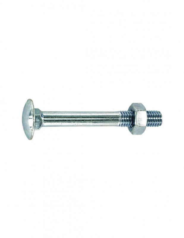 Rondkopbout met vierkante kraag in gegalvaniseerd staal 6x70mm, 5 stuks.