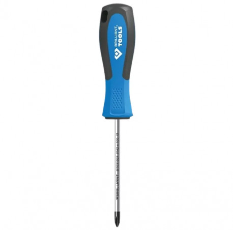 Phillips screwdriver PH2, magnetized, length 100 mm