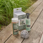 Kit de limpieza ABSORB para placa de plancha