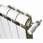 Zentralheizung aus Aluminiumguss, 10 Elemente, weiß, KLASS 600, 1320 W