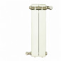 Riscaldamento centrale in ghisa alluminio 2 elementi bianco KLASS 700, 296w Riscaldamento centrale in ghisa alluminio 2 elementi bianco KLASS 700, 296w