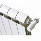 Calefacción central de aluminio fundido 2 elementos blanco KLASS 700, 296w Calefacción central de aluminio fundido 2 elementos blanco KLASS 700, 296w