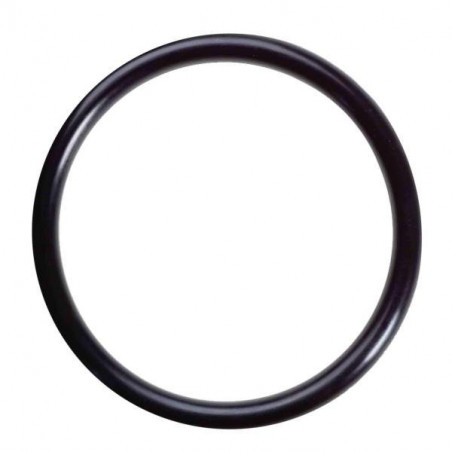Gasket for cistern elbow