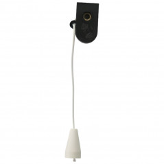 Interruttore luminoso a corda bipolare, 2A, 250V ELECTRALINE 70565