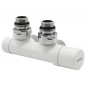 Thermostatische handdoekverwarmer met 50 mm hartafstand en fittingen