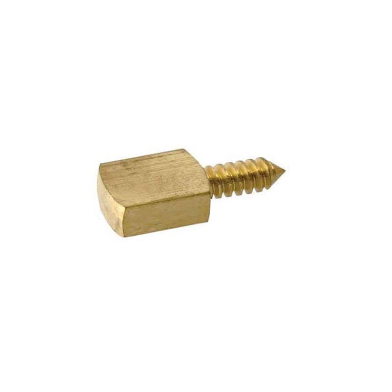 Opschroefbare messing schoenplaatjes, 10x15mm, 4 stuks.