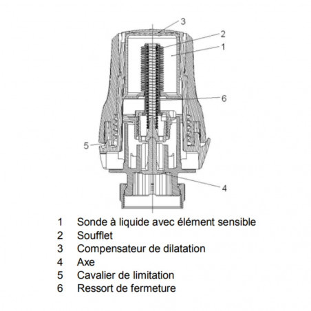 Testa della valvola termostatica del radiatore M30x1,5 rtn riscaldamento centrale