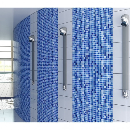 Presto DL400SE satin grey shower set
