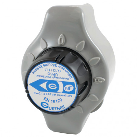 Détendeur déclencheur sécurité Butane D.S.B 1.3 kg/h, 29mb, mâle 20x150 NF EN
