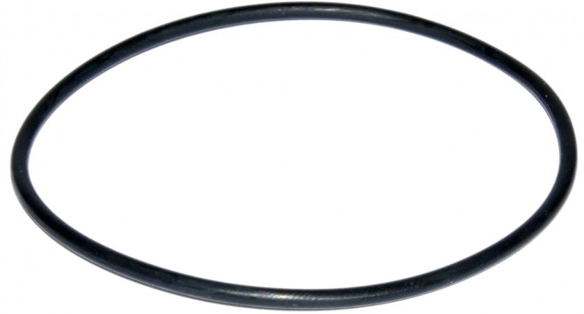 O-Ring der Vorfilterabdeckung der PULSO-Pumpe