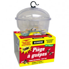 Piège à guêpes et frelons, à suspendre