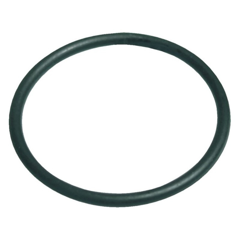 Dome gasket for LUBERON pool filter, NBR O-ring 215.3x7mm