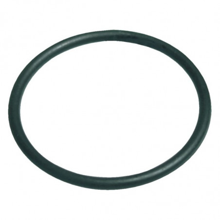 Dome gasket for LUBERON pool filter, NBR O-ring 215.3x7mm