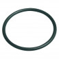 Dome gasket for LUBERON pool filter, NBR O-ring 215.3x7mm