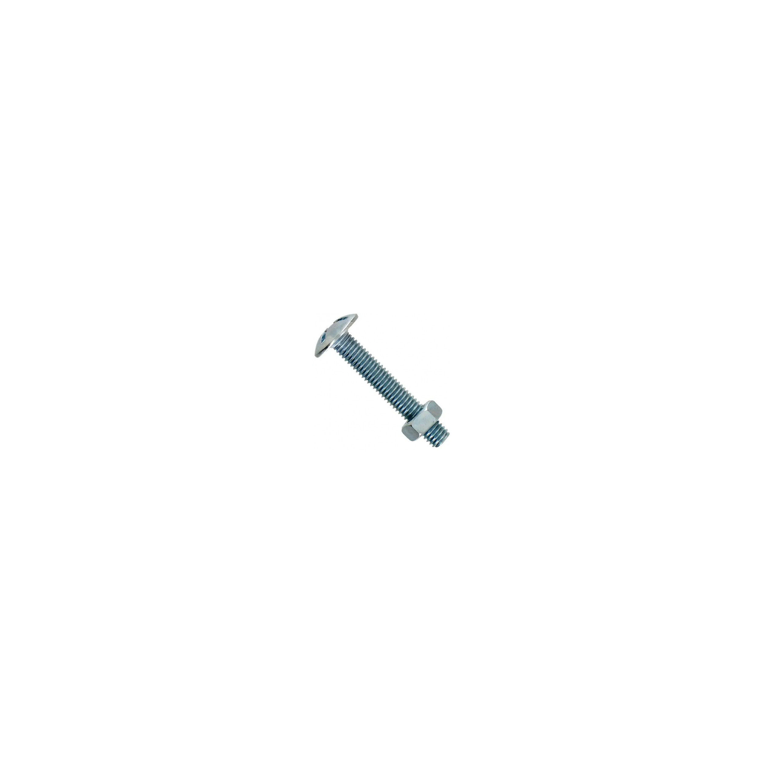 Galvanized steel stove bolt 6x40, 60 pieces with nut