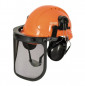 Triple protection helmet for parks and gardens RIBIMEX
