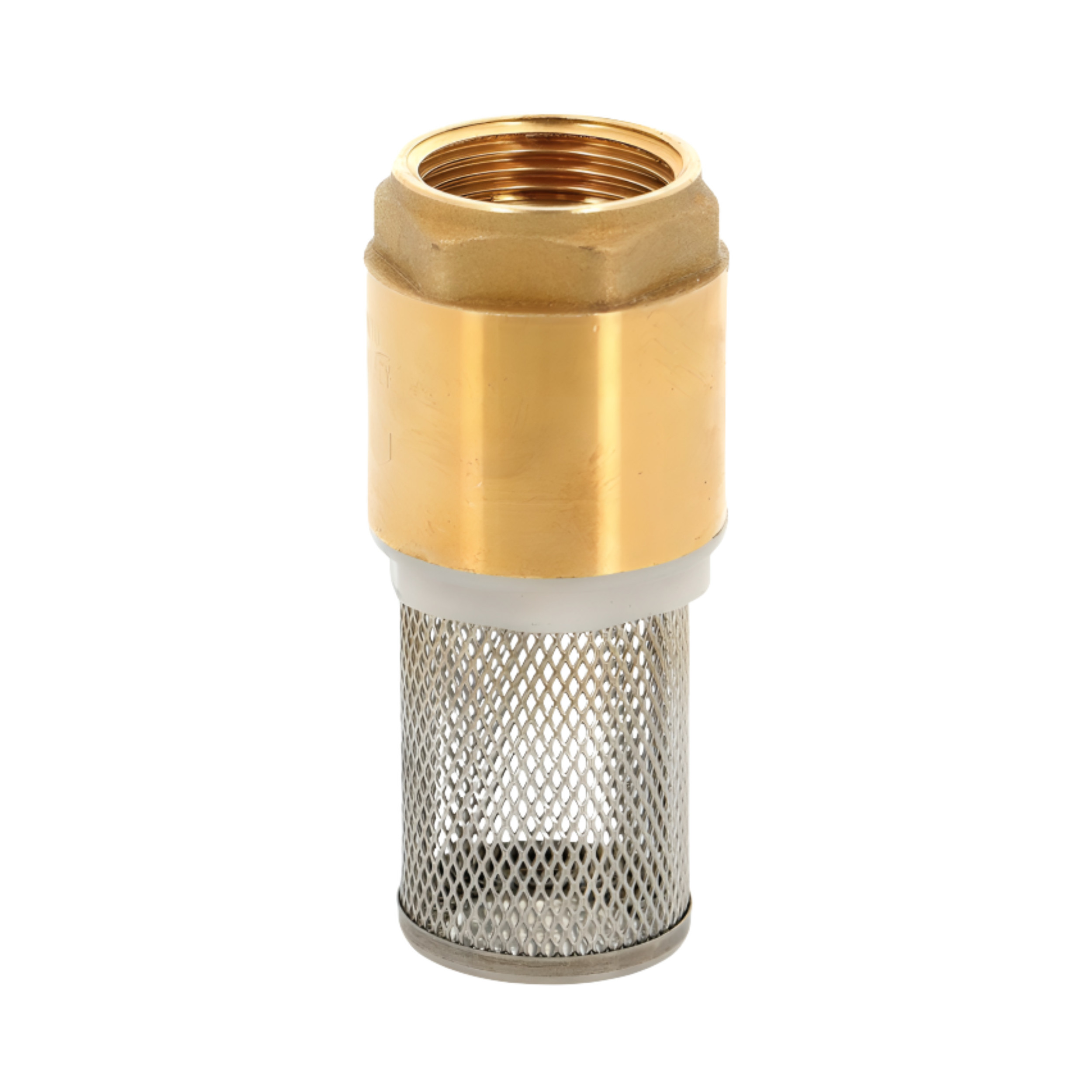 Strainer valve: brass and stainless steel