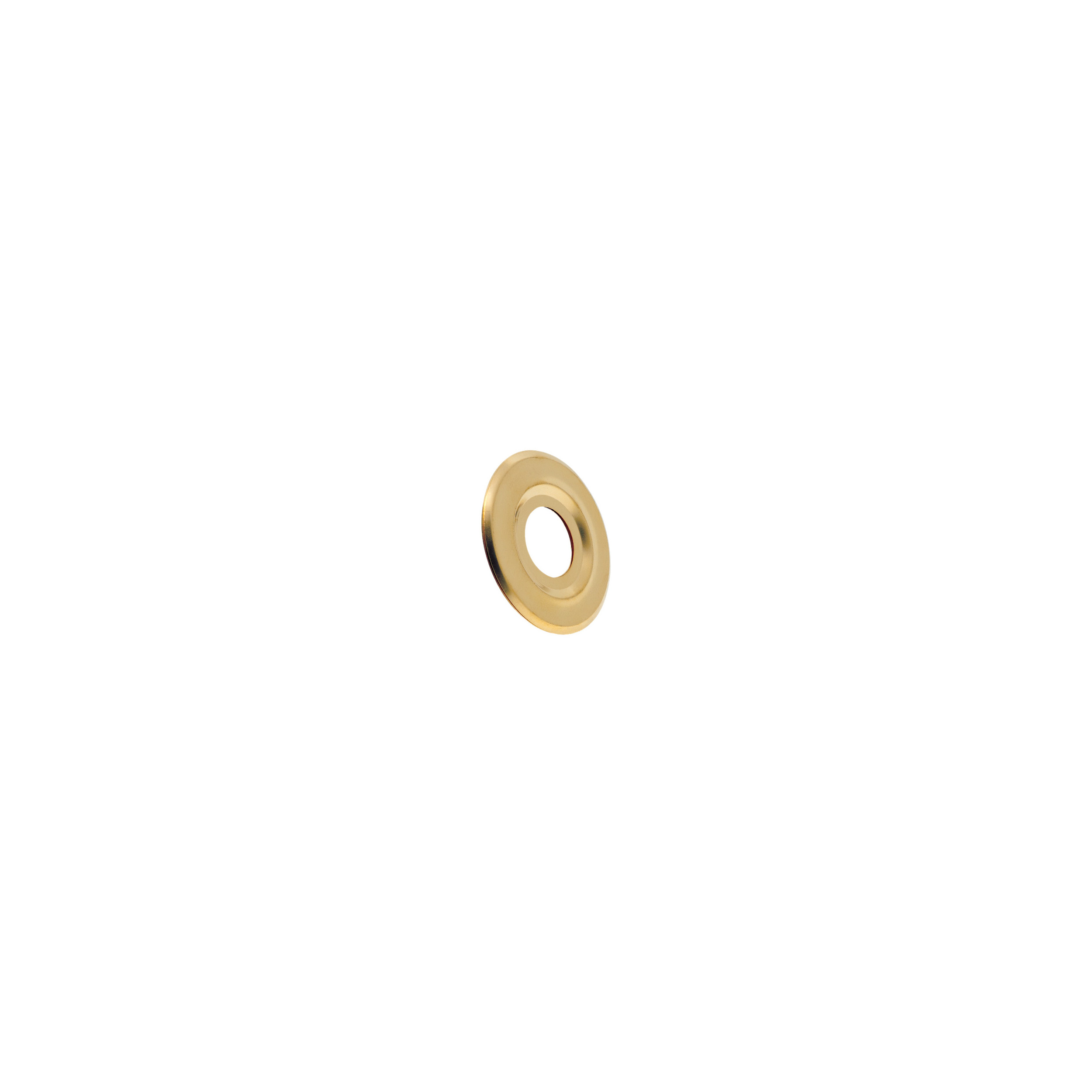 Plat Gepolijst Rozet 15X21 Diameter 55 Mm, Per Stuk, WATTS, 329557