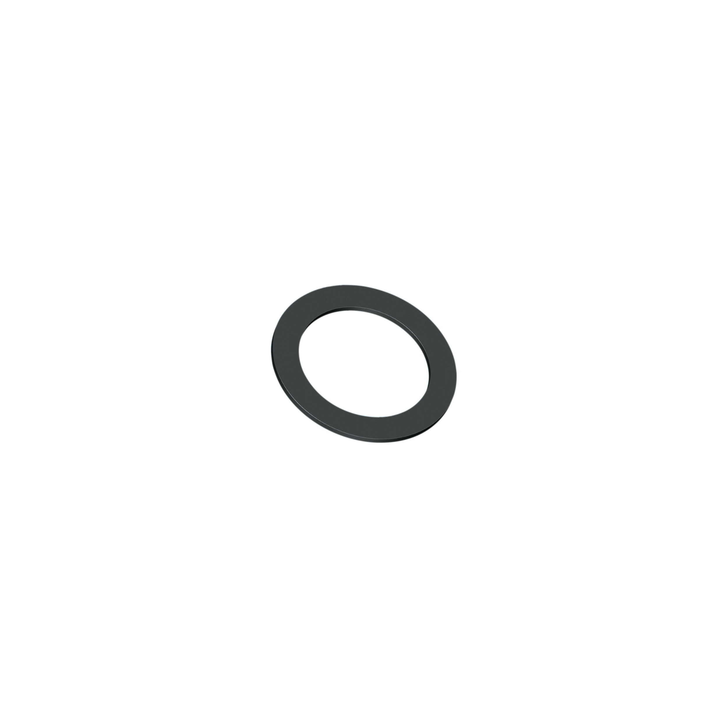 Sluitring Voor Montage Van Gootsteenafvoer (59X83X5 Mm), 1 Stuk., WATTS, 23014207