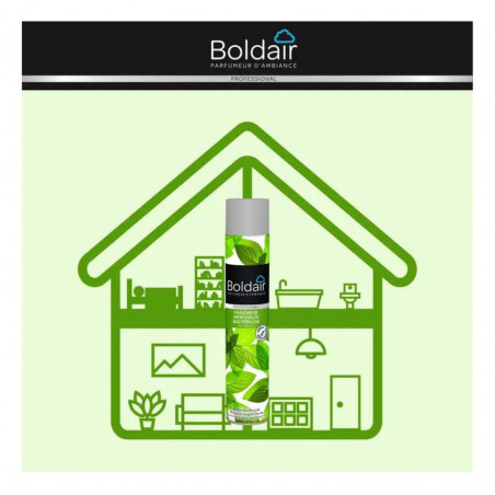 Boldair Minzfrische bakterizid 500ml