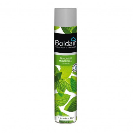 Boldair Minzfrische bakterizid 500ml