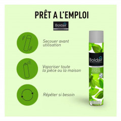 Boldair Minzfrische bakterizid 500ml