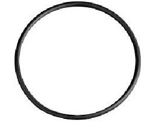 O-RING DURCHMESSER 55MMX3MM FÜR WC-VENTIL SIAMP