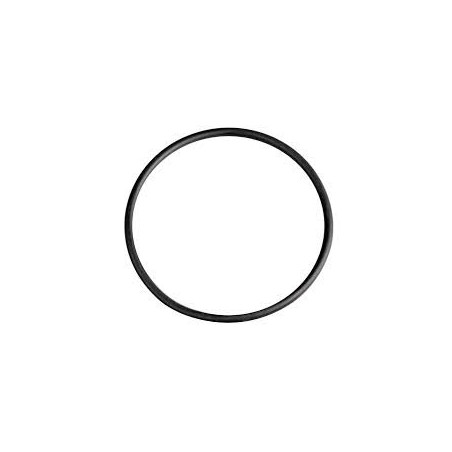 O-RING DIAMETRO 55MMX3MM PER VALVOLA WC SIAMP