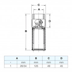Clapet anti-retour à pied crépine 1" (26x34)