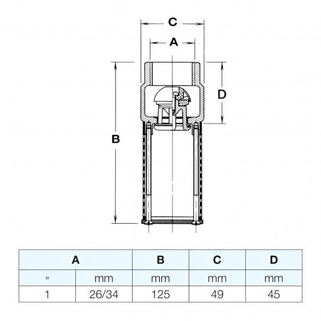 Clapet anti-retour à pied crépine 1" (26x34)