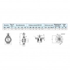 Vanne papillon Sylax en fonte, DN100, PN10/16/ASA 150