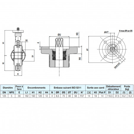 Vanne papillon Sylax en fonte, DN125, PN10/16/ASA 150