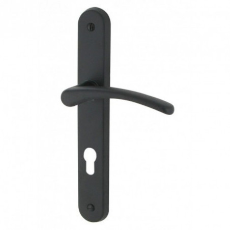 Set maniglia della porta DT2000 su placca CLUSES in alluminio verniciato nero opaco per cilindro