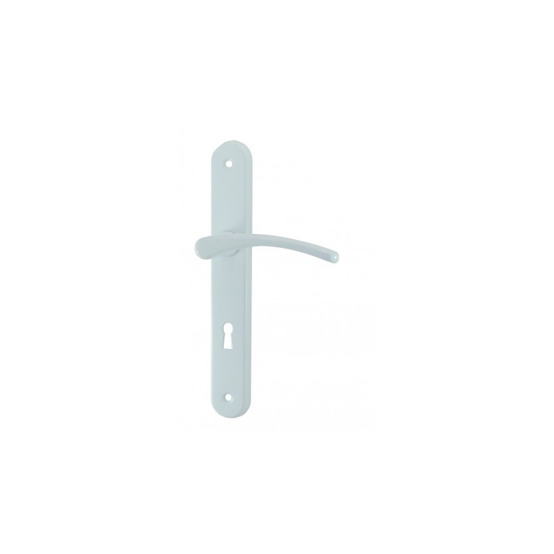 Ensemble poignée de porte sur plaque Cluses Aluminium laque blanc DT2000 pêne dormant