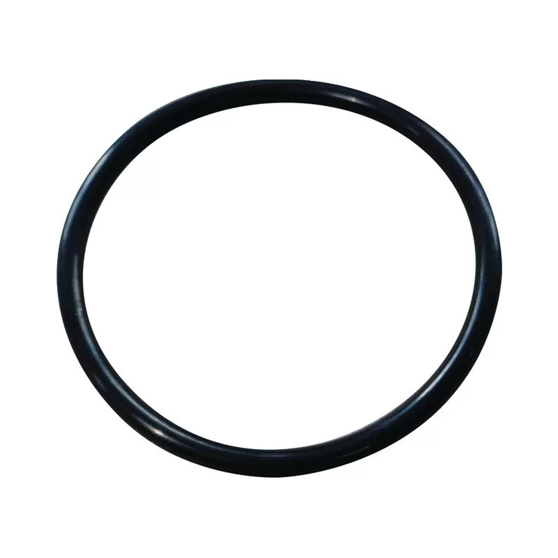 O-ring per base di serbatoio incassato WIRQUIN 54.5x3mm