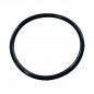 O-ring per base di serbatoio incassato WIRQUIN 54.5x3mm