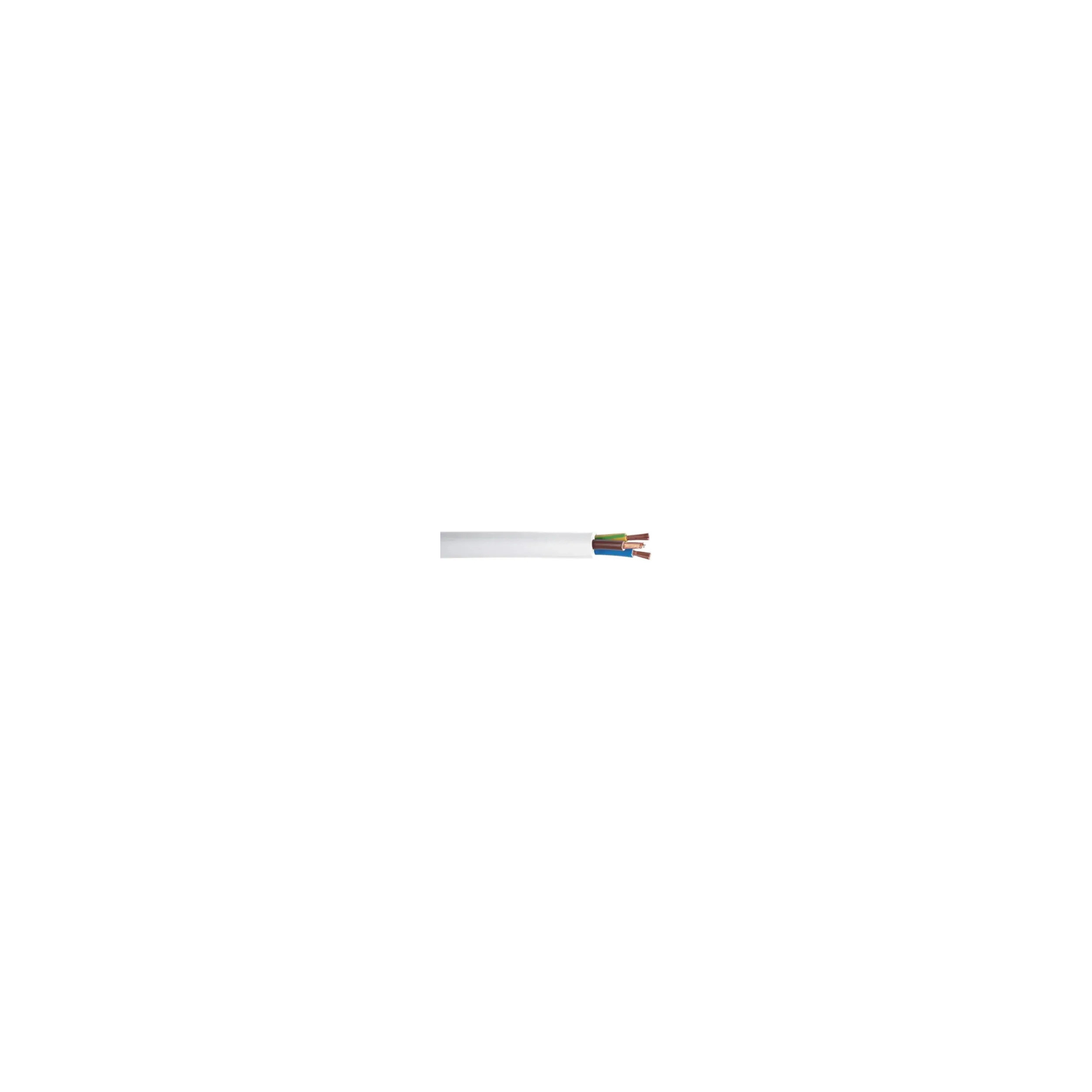 Elektrische kabel Miguelez 3G 1.5 wit 10m HBFCA11270