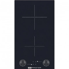 DOMINO VITROCERAMIQUE NOIR EN VERRE A MANETTE 29X51CM - FRIONOR