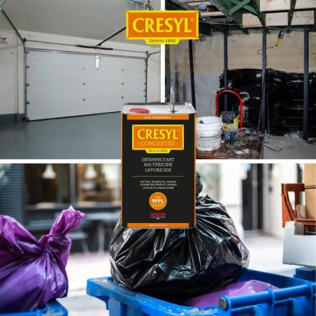 CREZYL BACTERICIDE FONGICIDE 5 L