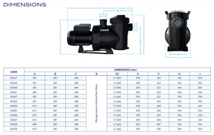 Filterpomp zwembad Victoria Plus Silent 1 PK zelfaanzuigend ASTRAL PISCINE 65562 - Afbeelding 3/3