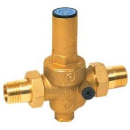 Pressure reducing valve with removable 1" double male connections - Thermador - Référence fabricant : R536026
