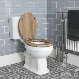 Toilet seat